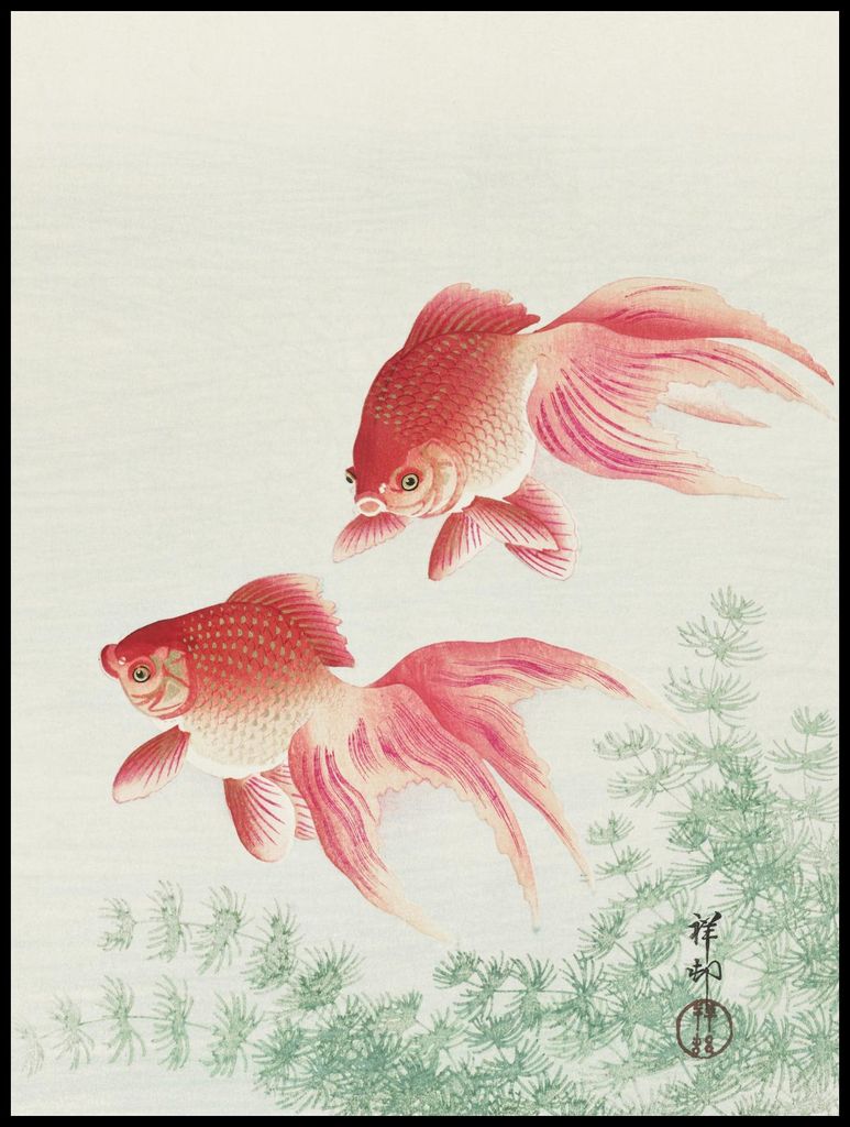 Plakat 75x100cm Zwei Schleier Goldfische, Japanischer Vintage Koson für das Wohnzimmer