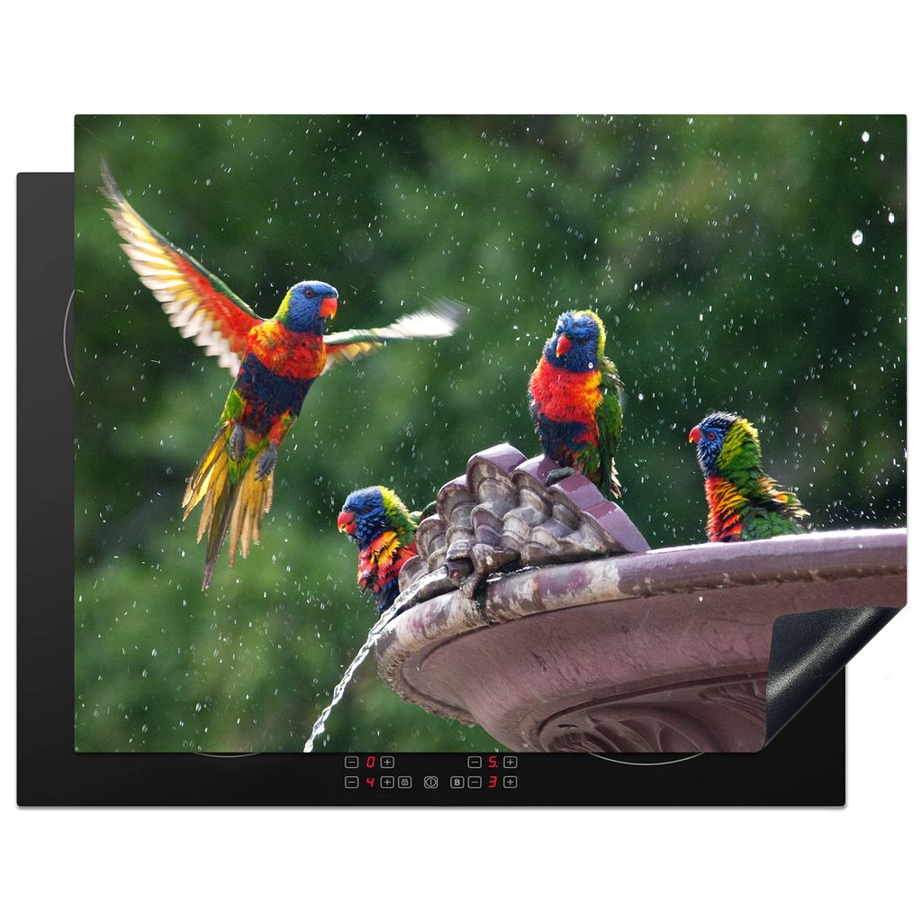 KitchenYeah Herdabdeckplatte Springbrunnen - Vogel - Wasser , 77x59cm, Küche Deko, Glaskeramikkochfeld Herdabdeckung, Abdeckplatte fùr Kochfeld