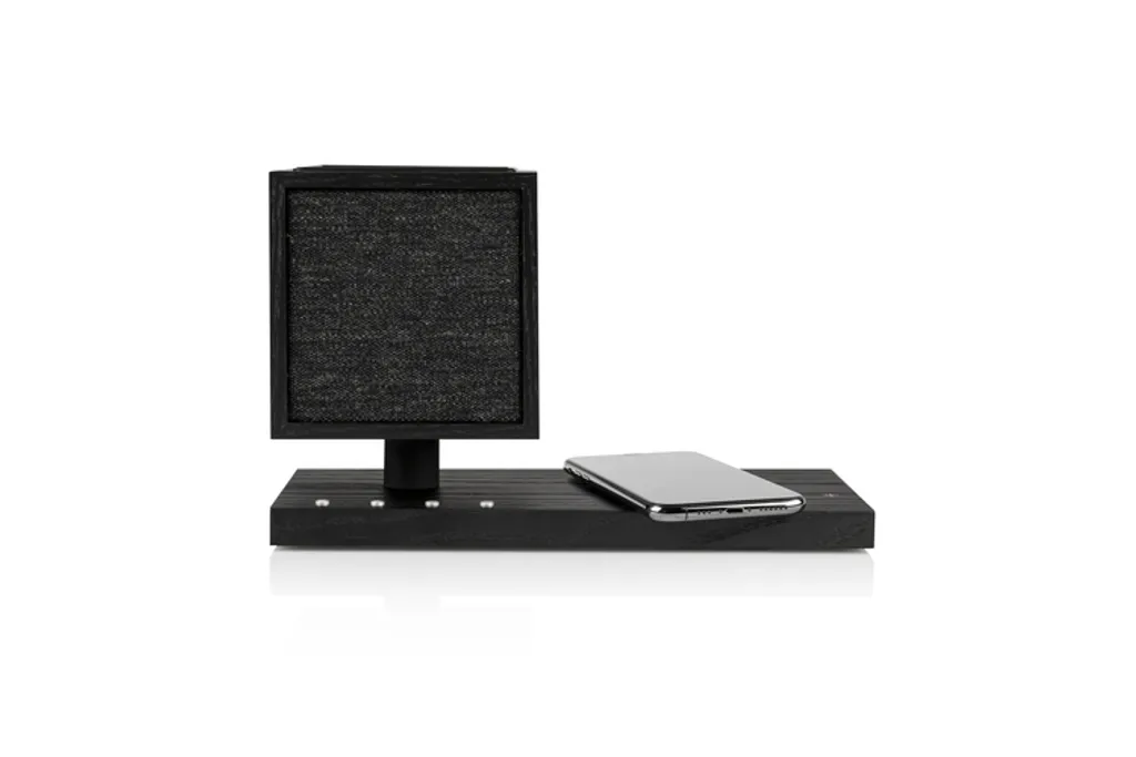 Enceinte BT Orientable Revive Tivoli Audio avec Lampe et Chargeur Qi