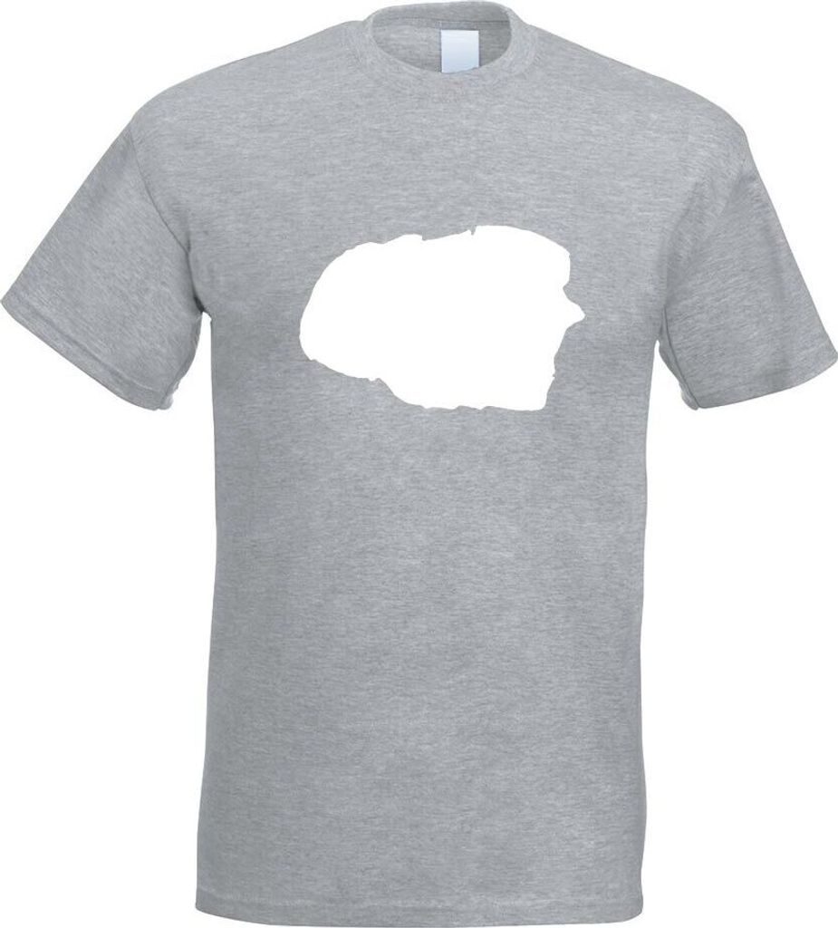Kiwistar - T-Shirt - Graumeliert - Föhr - Deutschland - Insel Motiv Bedruckt Funshirt Design Print - mit Motiv Bedruckt - Funshirt Design - Sport ...