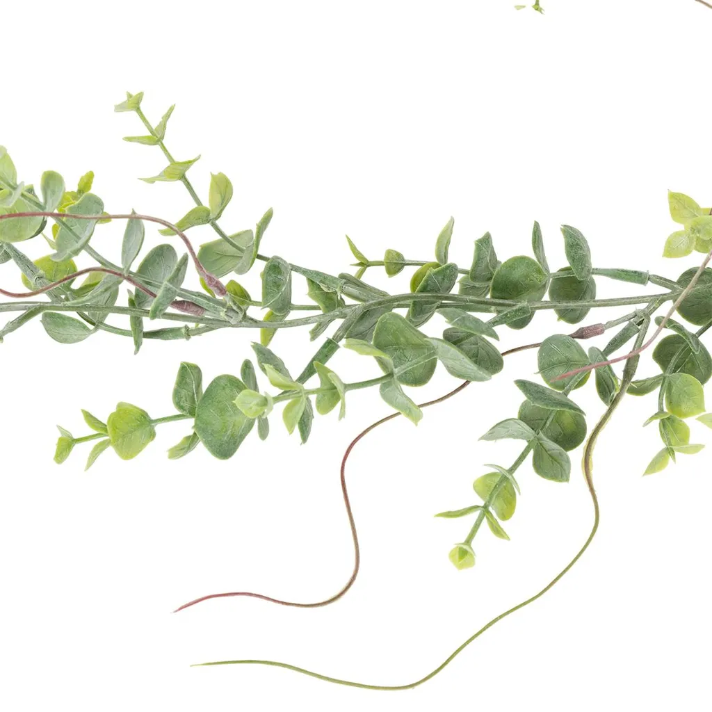 Guirlande artificielle eucalyptus 2m pour décoration murale et table - 7
