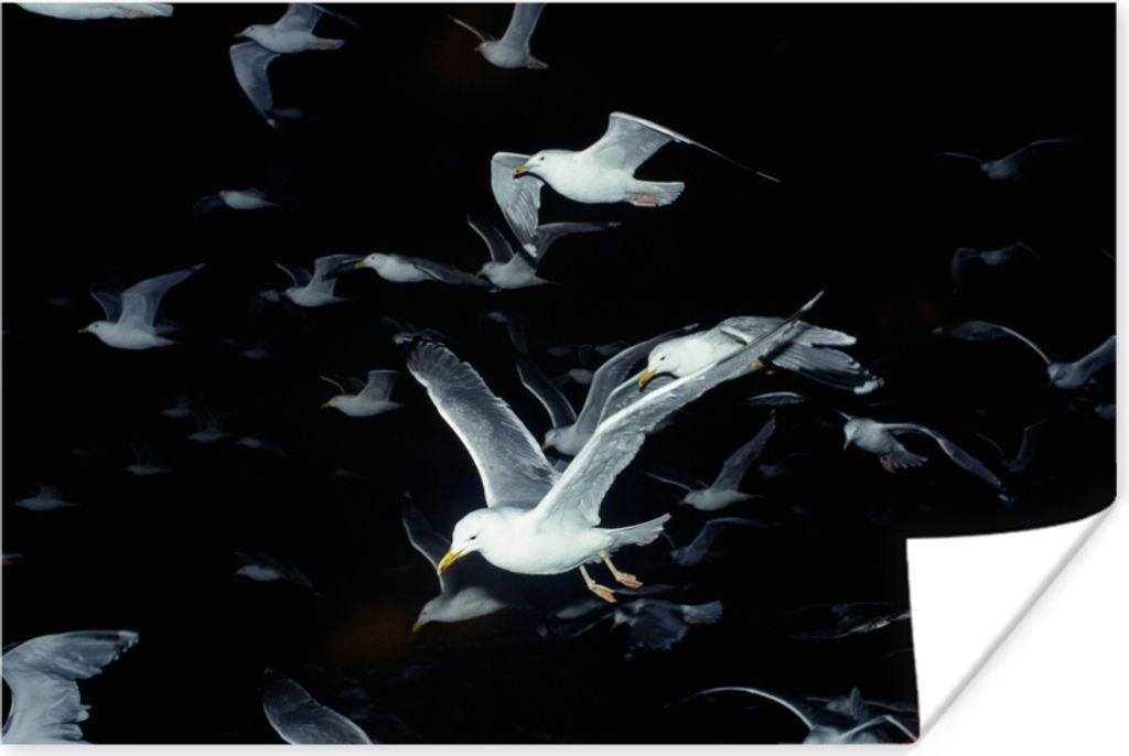 MuchoWow Poster Vogel - Schwarz - Schwarm 120x80 cm - Bilder