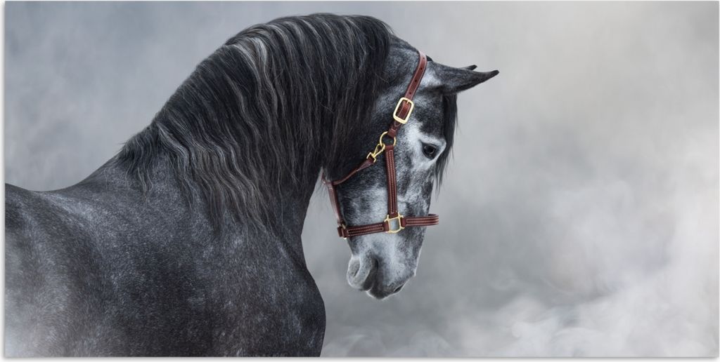 MuchoWow Poster Pferd - Grau - Braun - Tiere - Rauch 150x75 cm - ohne Rahmen