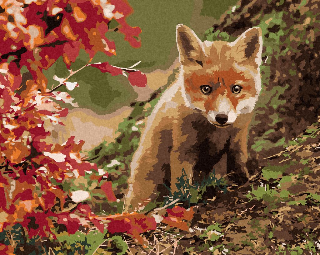 Zuty - Malen nach Zahlen - KLEINER FUCHS, 40x50 cm, mit Keilrahmen (bereits gespannt)