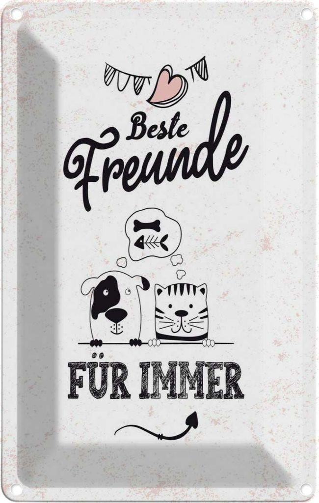 vianmo Blechschild 30x20 cm beste Freunde für immer Spruch Produktbild 