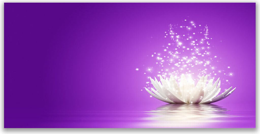 Tulup Leinwand-Bilder 140x70 Wandbild Canvas Kunstdruck Lotos Blume Pflanzen