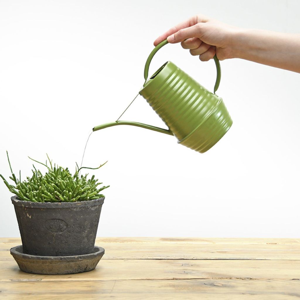 Développement Moteur Ecoiffier Chariot Outils De Jardin Enfant – 7 Pièces, Arrosoir, Pots, Sécateur, Dès 18 Mois, Origine France, Jeu Plein Air