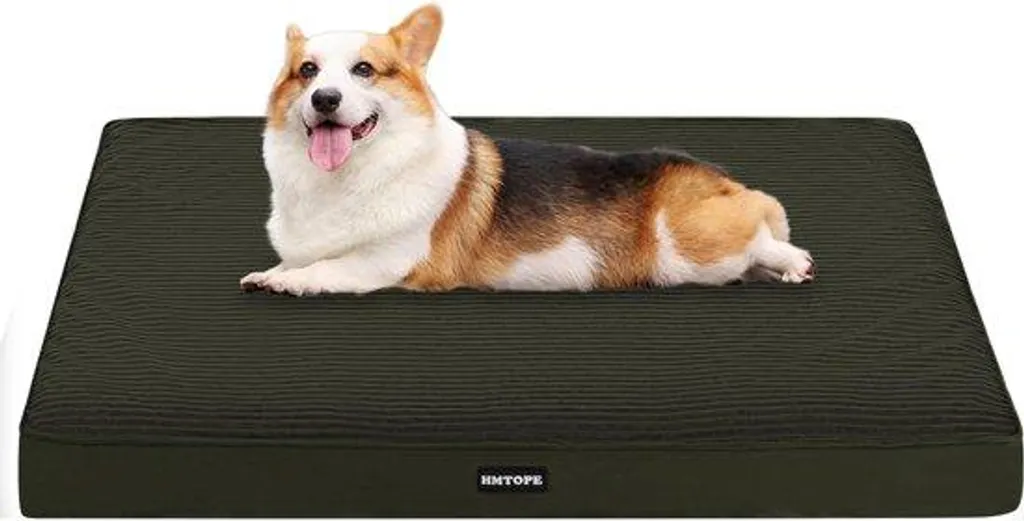 Lit chien spécial articulations, mousse 9 cm vert olive, taille moyenne