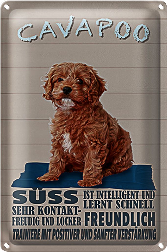 Blechschild Spruch 18x12cm Cavapoo Hund süss freundlich