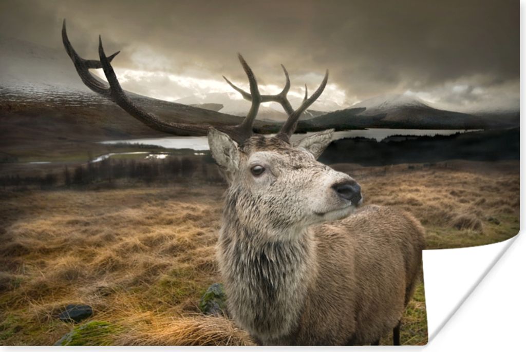 MuchoWow Poster Geweih - Hirsch - Gebirge 30x20 cm - Plakate - Print