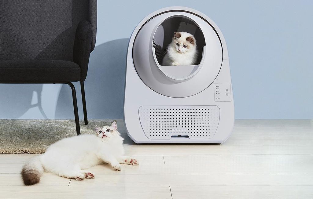 Samočistiaca podstielka pre mačky Catlink Scooper Young Obrázok produktu 6