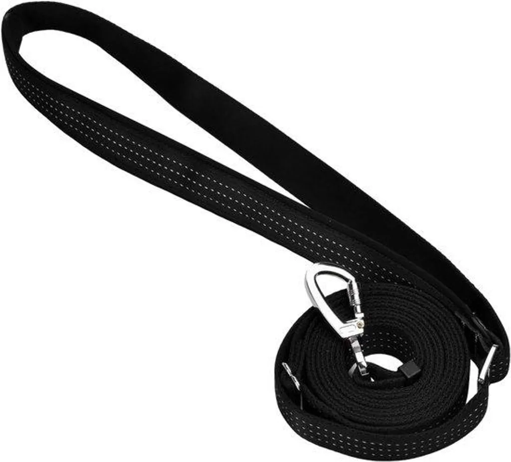 Laisse pour chien extensible 18m avec mousqueton robuste randonnée