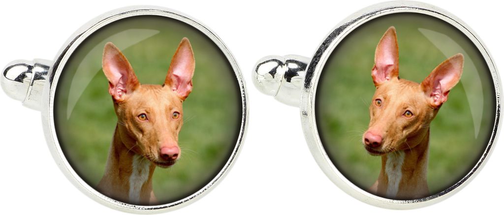 Pharaonenhund, Pharaoh Hound, Kelb tal-Fenek - Manschettenknöpfe, Hemdverzierung, Hemdanhänger der Marke Art-Dog