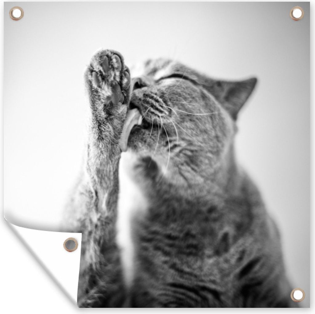 MuchoWow 40x30 cm Outdoor-Poster Gartendeko Sichtschutz Garten Poster für den Garten Katze leckt ihre Pfote
