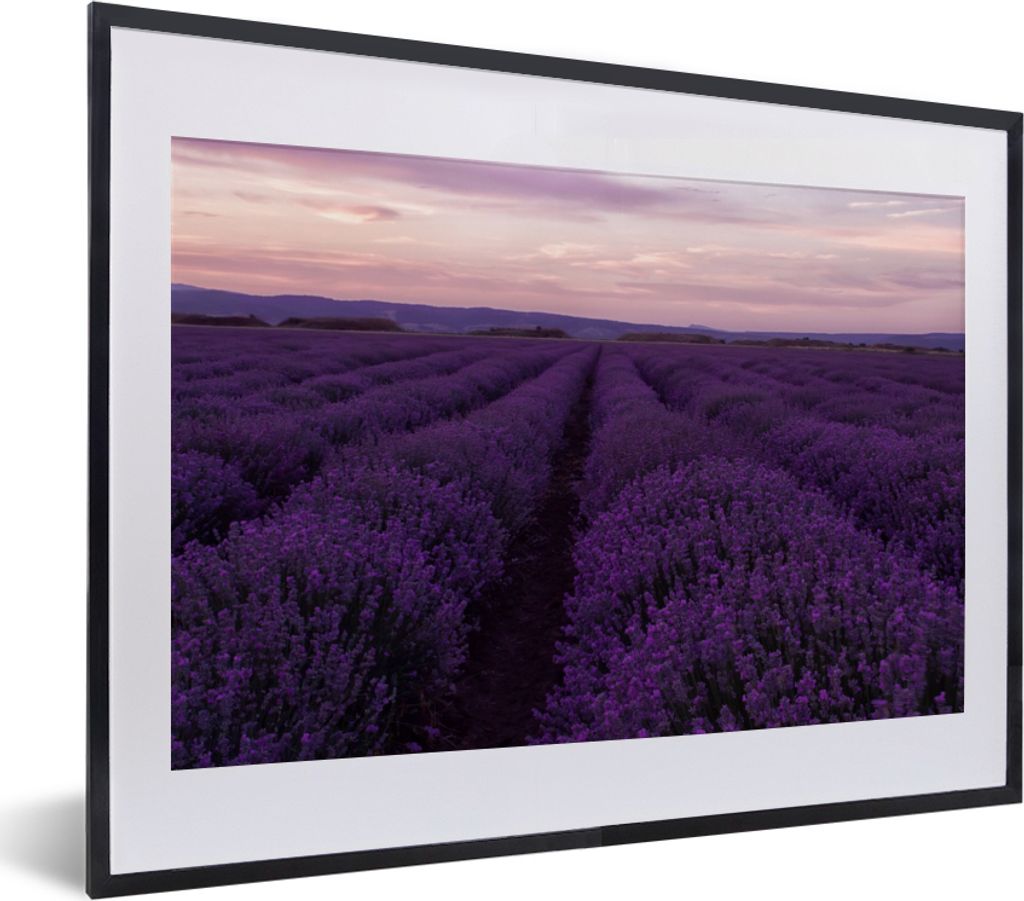 MuchoWow Gerahmtes Poster Lavendel - Lila - Blumen - Natur 40x30 cm - Poster mit Schwarzem Bilderrahmen Wandposter Rahmen Foto Bilder - Bilderrah...
