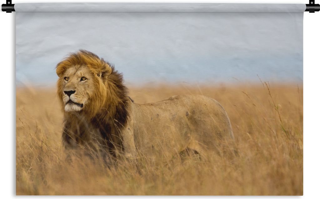 MuchoWow Wandteppich Wandbehang Löwen - Gras - Afrika 90x60 cm Tapisserie Dekoration Wandtuch - Wandskulpturen - Bildteppich