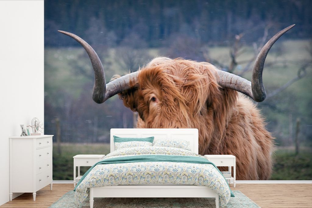 MuchoWow Fototapete für Wohnzimmer oder Schlafzimmer Wandtapete Vinyl Motivtapete Schottischer Highlander - Hörner - Berg - 420x280 cm - Zimmer...