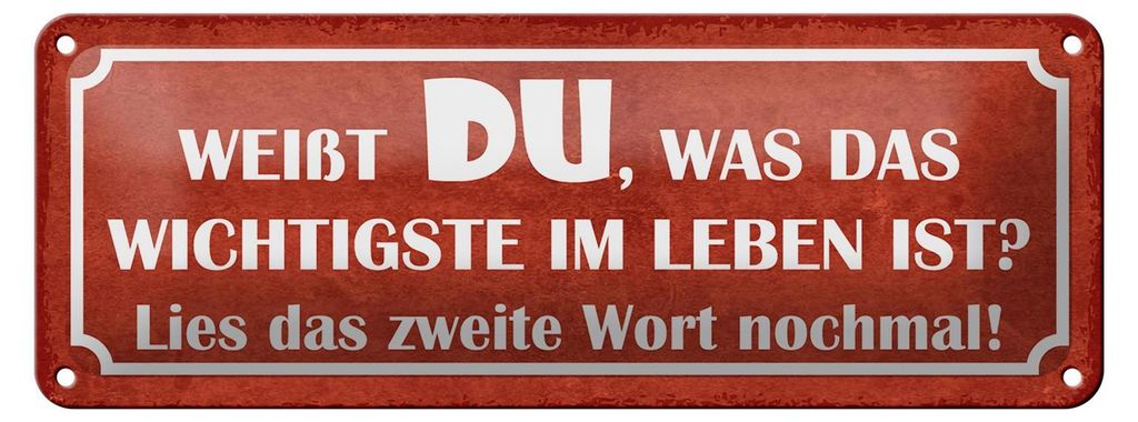 Blechschild Spruch 27x10cm weißt du was wichtigste im Leben Dekoration
