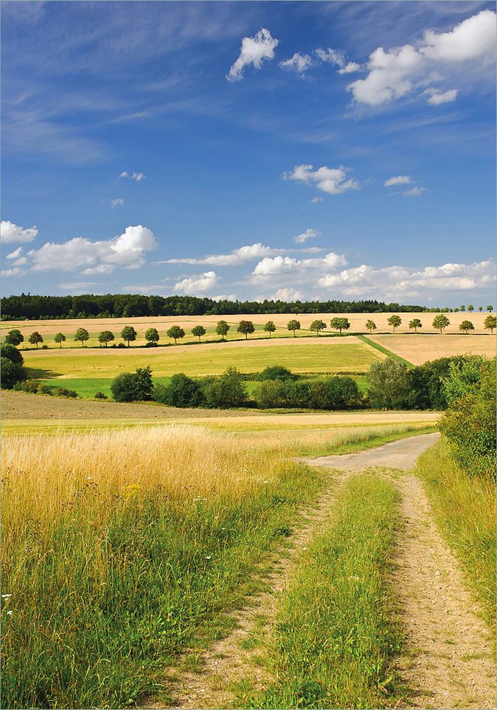 Wallario selbstklebendes Poster - Feldlandschaft unter blauem Himmel, Größe: 70 x 100 cm