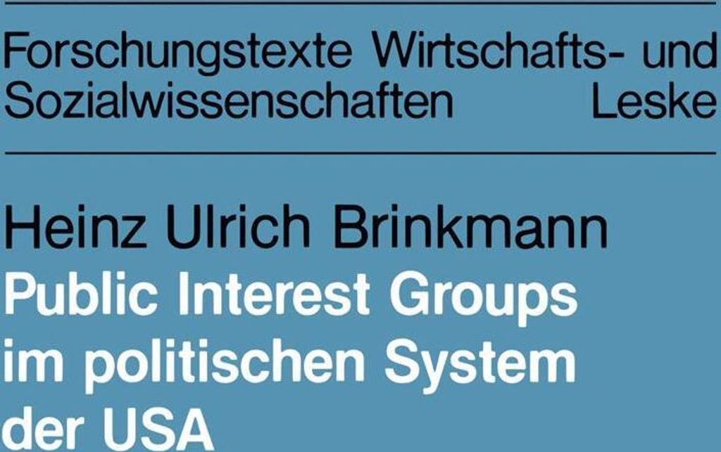 Public Interest Groups im politischen System der USA