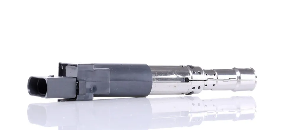 Bobina Beru ZS016 per Ford Galaxy VW Golf Alhambra | Qualità OEM