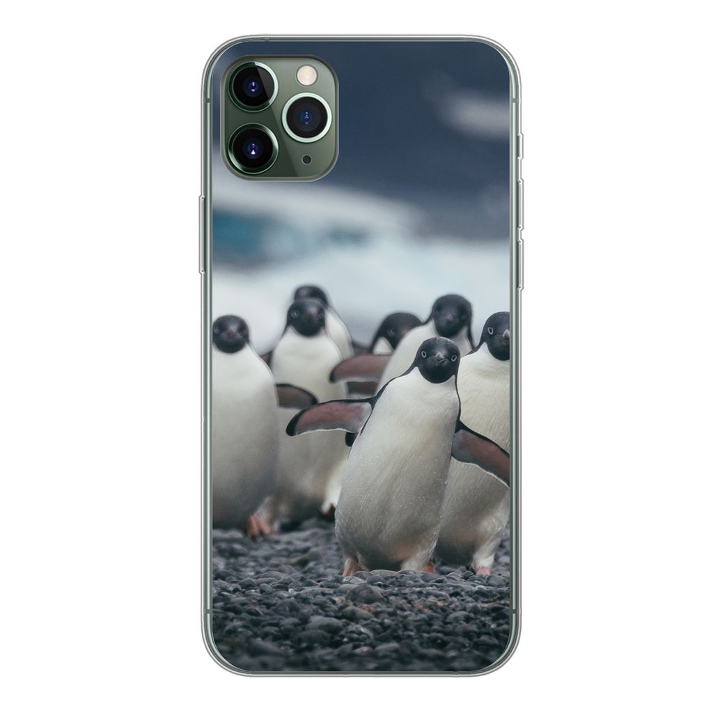 MuchoWow Handyhülle Schutzhülle Hülle für iPhone 11 Pro Max Adeliepinguine am Strand Silikon Softcase Handy Hülle - Schutz