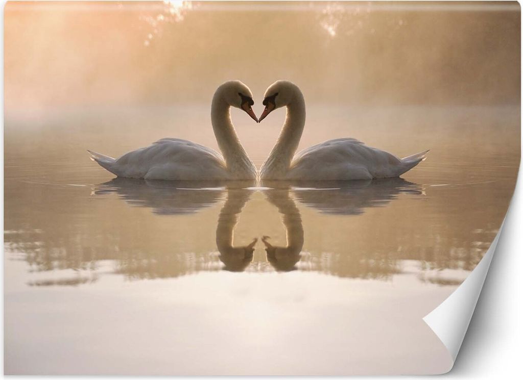 Vlies fototapete Schwanensee 250x175 cm Feeby Beige inkl. Kleber einfache Montage