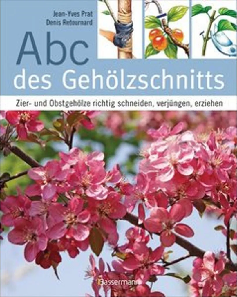 Abc des Gehölzschnitts : Techniques illustrées de coupe des plantes