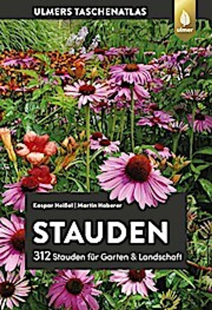 Stauden
