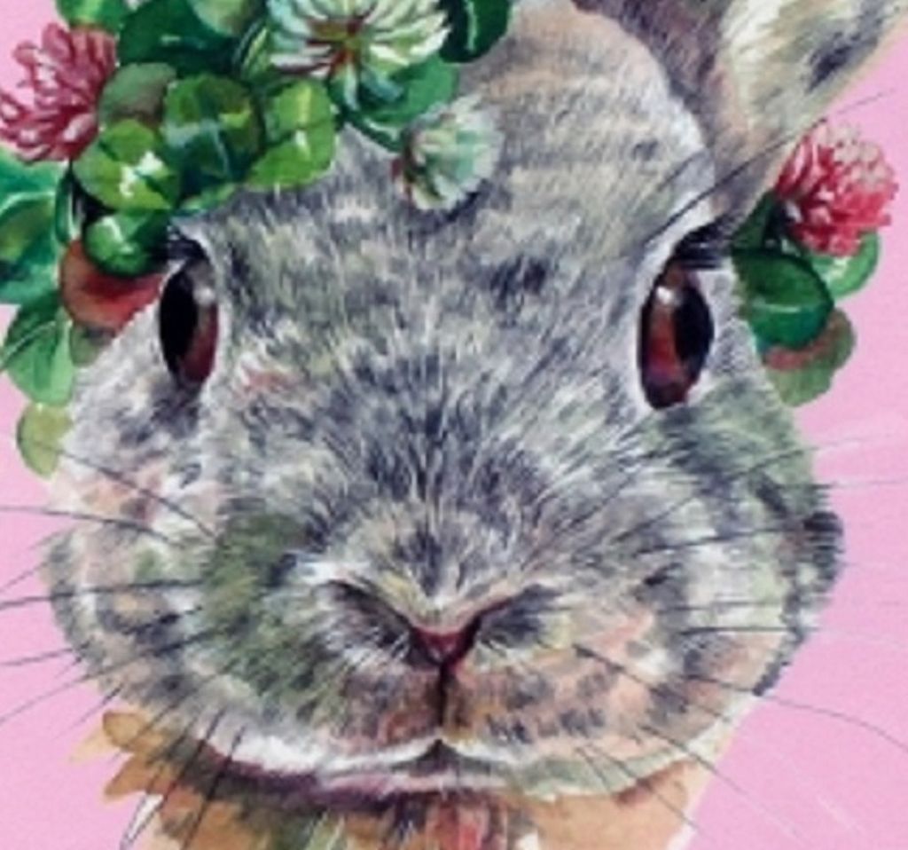 Outdoor Kissen BUNNY rosa bunt 45x45cm Deko Hase Ostern Innen Garten Oster Bezug