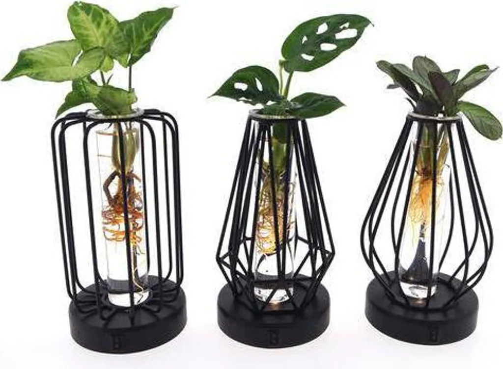 Set de 3 Terrariums de plantes en verre Turin avec LED Ø7cm - Décoration