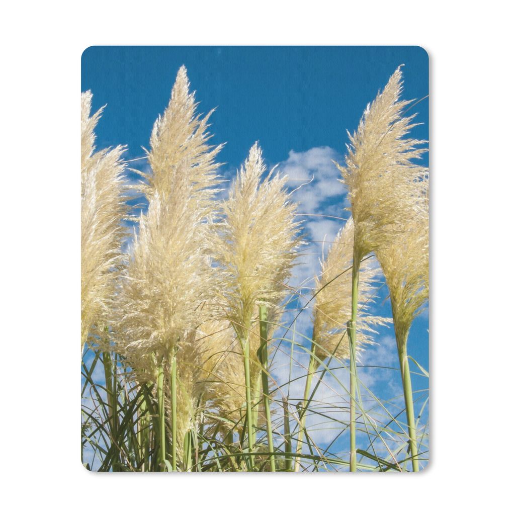 MuchoWow Mauspad Mousepad Pampasgras - Pflanze - Natur 30x40 cm - Mousepads - Maus Mat - Pad - Mausunterlage - Mausmatten