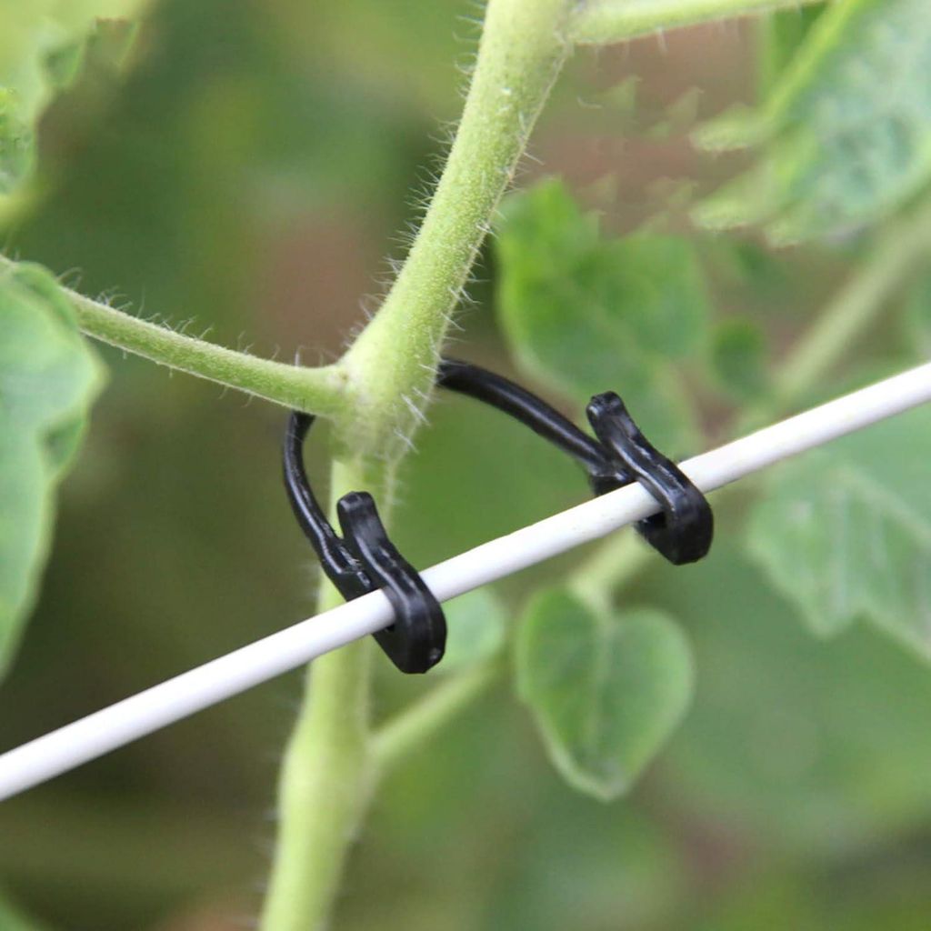 200 Stück Gartenpflanzenclip, Weinrebenschnalle, fester Streichholzhaken, Steckclip, landwirtschaftliches Gemüsewerkzeug