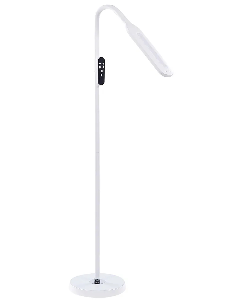 Lampadaire LED Dimmable 160 cm avec Télécommande et Éclairage Variable - 6