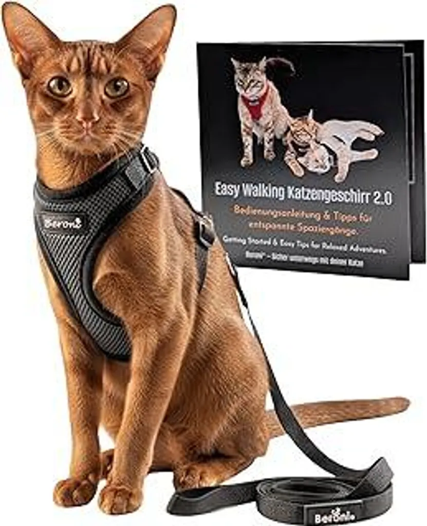 Imbracatura Gatti Antifuga Beroni S Grigio - Set Completo per Esterno