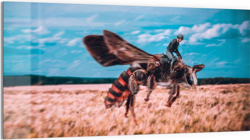 DEQOART Glasbild Echtglas 100x50 cm 'Flug der Phantasie' Wandbild Bild modern Deko