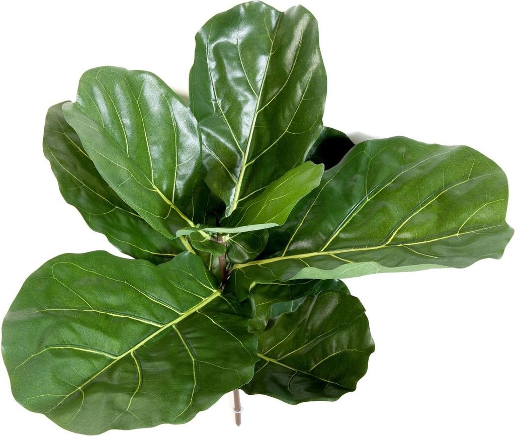 artplants.de Künstlicher Ficus Lyrata ATIKA auf Steckstab, grün, 60cm - Grünpflanze künstlich