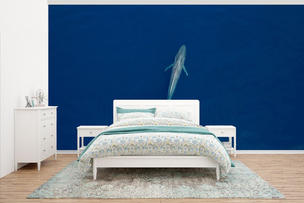 MuchoWow Fototapete für Wohnzimmer oder Schlafzimmer Wandtapete Vinyl Motivtapete Wal - Ozean - Blauwal - 430x240 cm - Gemustert