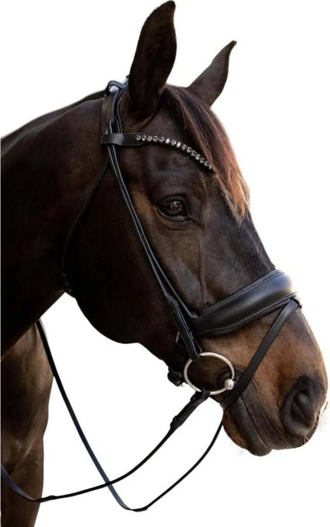 Bridon ComfoHead Dy'on combiné anglais noir complet cuir de buffle