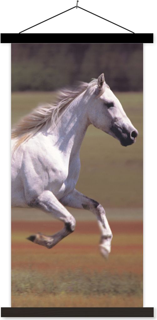 MuchoWow Textilposter Pferd - Licht - Gras 90x180 cm mit schwarzem Rahmen - Dekoration Wohnzimmer