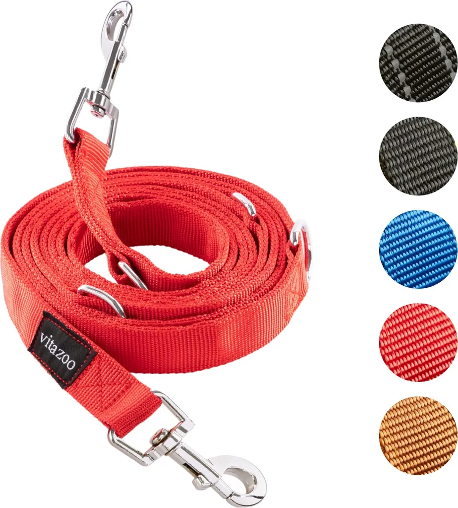 vitazoo Guinzaglio per cani - 3mx2,5cm - Guinzaglio in nylon grafite con moschettoni per cani di piccola, media e grande taglia - Guinzaglio con guinzaglio regolabile con 4