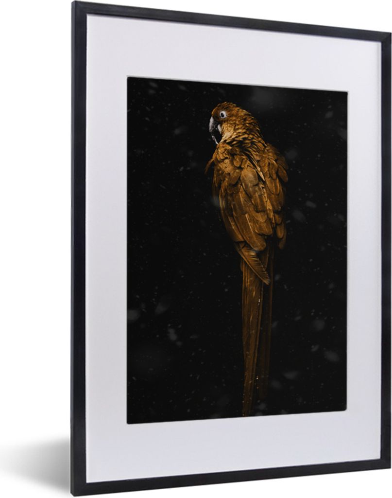 MuchoWow MuchoWow Gerahmtes Poster Vogel - Gold - Papagei 30x40 cm - Poster mit zchwarzem Bilderrahmen - Wandposter Schlafzimmer