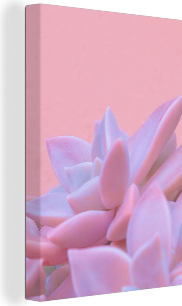 OneMillionCanvasses - Leinwandbilder - 90x140 cm, Sukkulente - Sommer - Rosa - Pflanzen, Wandbilder Kunstdruck Wanddekoration - Foto auf Leinwand...