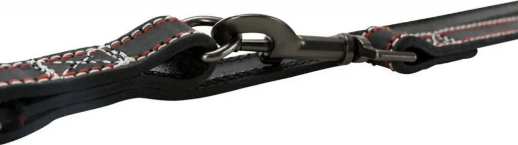 Laisse en cuir véritable Trixie Native anthracite M-L modulable 2m - 4