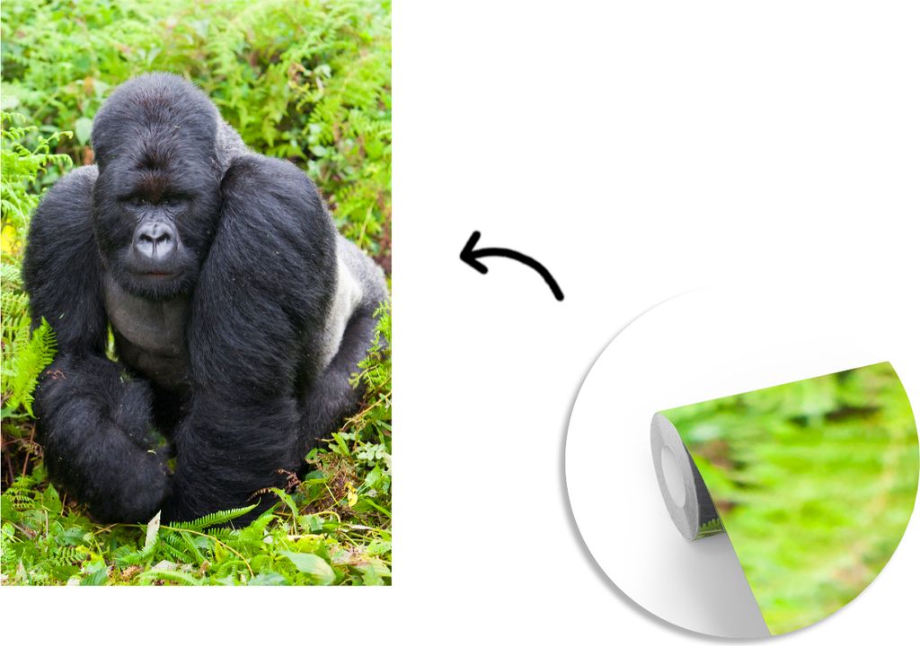 MuchoWow Fototapete für Wohnzimmer oder Schlafzimmer Wandtapete Vinyl Motivtapete Ein Gorilla spaziert durch die grünen Blätter - 175x260 cm -...