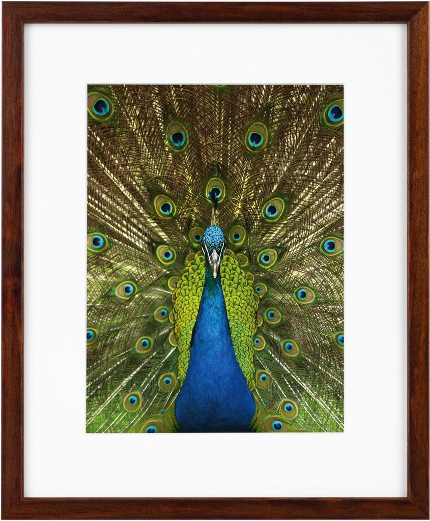 Cadre Goldbuch en bois de pin 20 x 25 cm, finition acajou, Image du produit 
