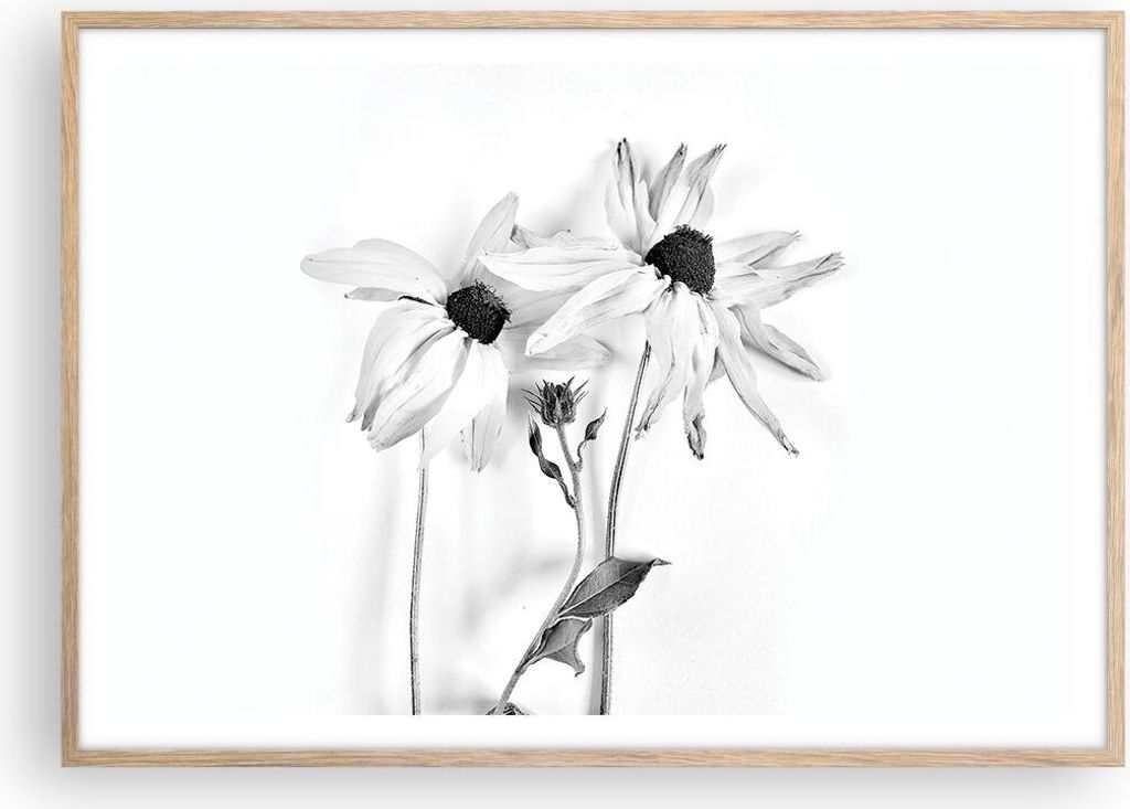 Gerahmtes Poster - Rahmen in heller Eiche - Verwelkt Blumen Monochrom - 100x70 cm - Wand Bild - Wanddeko - Wandbilder - Kunstposter - Wandposter - ...