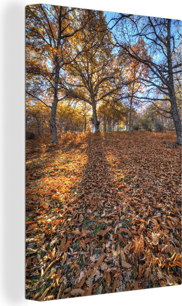OneMillionCanvasses - Leinwandbilder - 90x140 cm, Kastanienbäume in Madrid, Spanien, Wandbilder Kunstdruck Wanddekoration - Foto auf Leinwand - ...