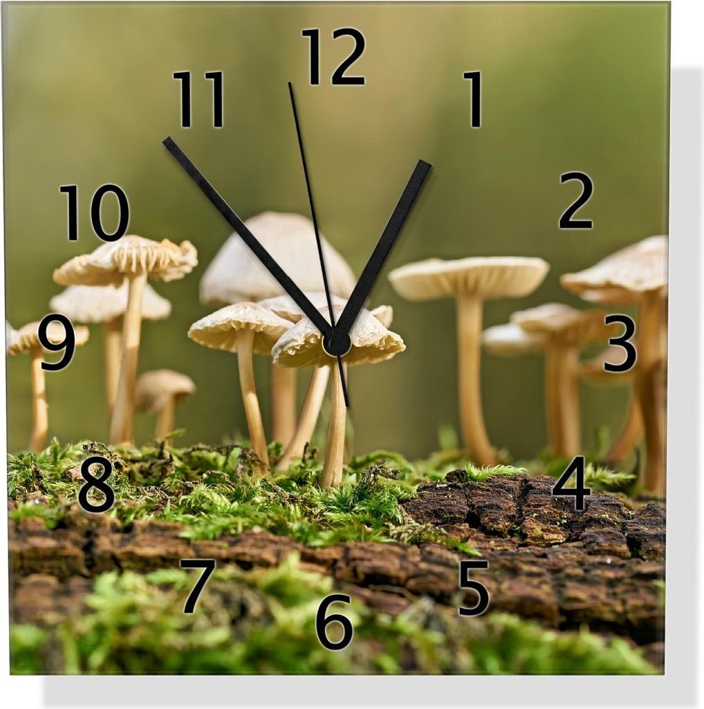 Wallario Design Wanduhr Pilze auf Baumstamm aus Echtglas, Größe 30 x 30 cm