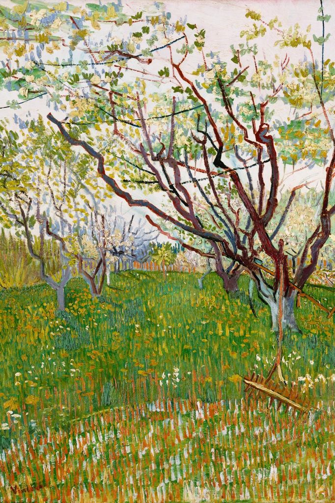 Plakat 20x30cm Der blühende Obstgarten, Van Gogh Vintage
